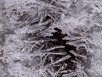 Klausgraben - Feine Eisfinger schließen sich bald wie eine Muschel